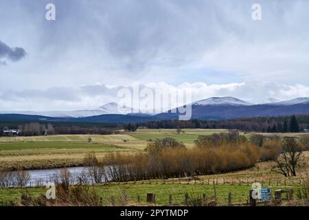 Schneebedeckte Berge, Vordergrund des Flusses Spey, Cairngorm-Nationalpark, Hochland-Region, Nordschottland, UK Stockfoto