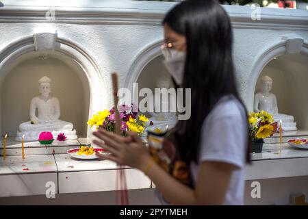 Kuala Lumpur, Malaysia. 04. Mai 2023. Ein Gläubiger betet während der Wesak Day Feiern im Maha Vihara Tempel. Wesak Day, oder auch Vesak geschrieben, wird von Buddhisten als religiöses Ereignis zur Feier der Geburt, Erleuchtung und des Todes von Siddharta Gautama Buddha beobachtet. (Foto: Vivian Lo/SOPA Images/Sipa USA) Guthaben: SIPA USA/Alamy Live News Stockfoto