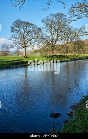 Der Fluss Hodder in Whitewell, der Forest of Bowland, Lancashire, Nordwestengland, Großbritannien Stockfoto