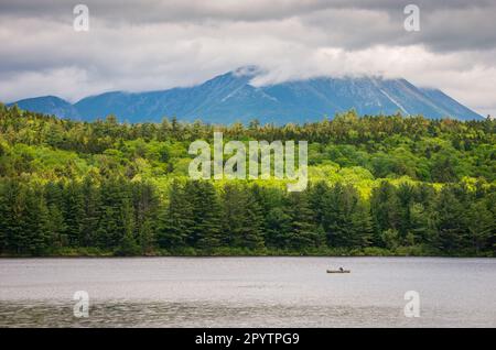 Maine North Woods in Ashland Stockfoto