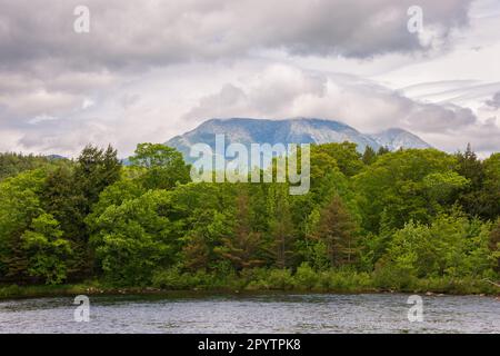 Maine North Woods in Ashland Stockfoto