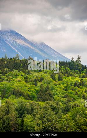 Maine North Woods in Ashland Stockfoto