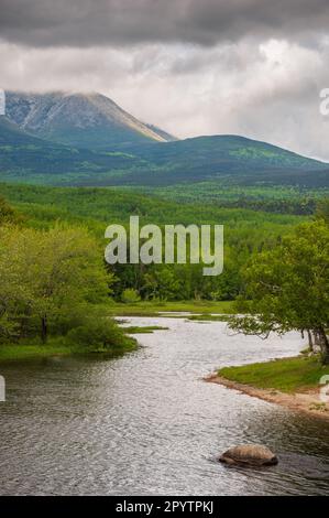 Maine North Woods in Ashland Stockfoto