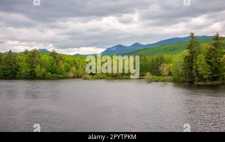 Maine North Woods in Ashland Stockfoto