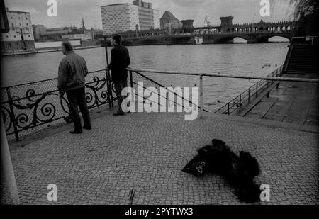 DDR, Berlin, 04.02.1990, Paul-Gröben-Ufer, Spree, Blick auf Oberbaumbrücke, rollender Hund [maschinelle Übersetzung] Stockfoto