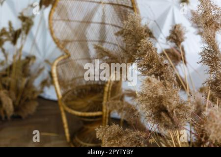 Korbsessel Peacock in einem geräumigen Schlafzimmer. Rattan-Pfau-Sessel an der weißen, leeren Wand im Wohnzimmer. Haus im skandinavischen Stil Stockfoto