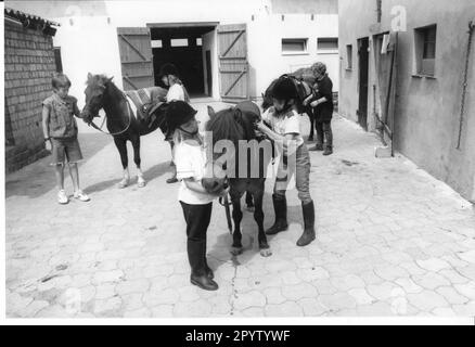 Der Reiterhof Jürgen Rietz in Lübnitz bei Belzig bietet Reitunterricht für Kinder. Pferdefarm. Reitstall. Pferde. Reiter. Reiten. Foto: MAZ/Peter Sengpiehl, 19.07.1993 [automatisierte Übersetzung] Stockfoto