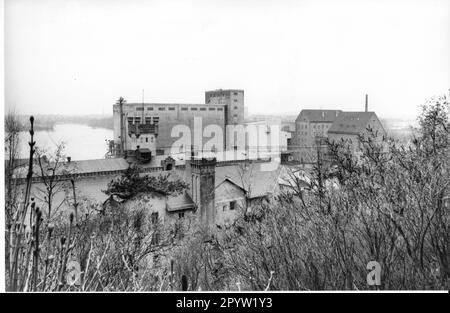 Potsdamer Speicherstadt auf der Leipziger Straße mit Kornmühlen Schlachthof Brachland im Januar 1994 Foto: MAZ/Bernd Gartenschläger [maschinelle Übersetzung] Stockfoto