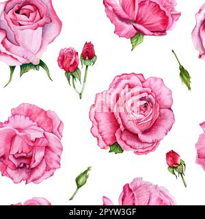 Nahtloses Muster mit wasserfarbenen rosa Rosen. Handgezeichnete Abbildung auf weißem Hintergrund. Stockfoto