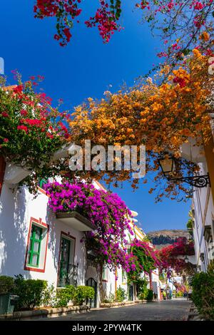 Flachwinkel von der Blumenstraße in Puerto de Mogan, Gran Canaria, den Kanarischen Inseln, Spanien. Stockfoto