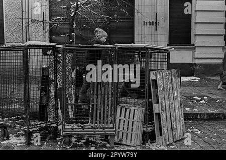 DDR, Berlin, 23.11.1988, Kinderspiel in der Marienburger Straße, Transport-Grid-Car für Obst und Gemüse, [automatisierte Übersetzung] Stockfoto