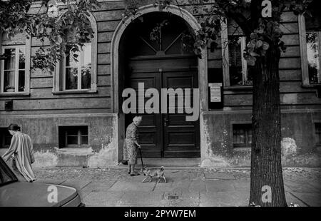 DDR, Berlin, 07.05.1989, Oranienburger Straße, ältere Frau mit Hund, [maschinelle Übersetzung] Stockfoto