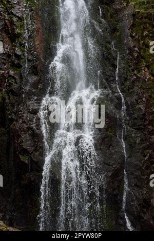 Wasserfall im Wald, Burgbach Wasserfall bei Schapbach, Schwarzwald, Baden-Württemberg, Deutschland Stockfoto