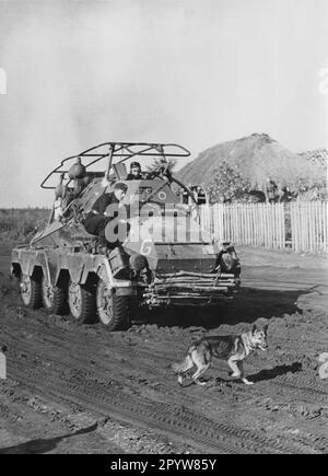 SdKfz 231 der Guderian Panzer Group im mittleren Abschnitt der Ostfront. Der Schäferhund auf der Straße soll ein Minenhund sein, der trainiert wurde, unter einem gepanzerten Fahrzeug mit einer Sprengladung zu kriechen. Die Soldaten versuchen zu sehen, ob der Hund unter das Fahrzeug kommt, aber der Hund weigert sich. [Maschinelle Übersetzung] Stockfoto