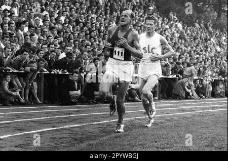 Emil Zatopek und Herbert Schade (rechts) in Solingen 03.09.1957 im 10.000m. Rennen. [Maschinelle Übersetzung] Stockfoto