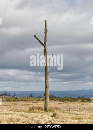 Der Dreigabelmast, Hoar Edge, Clee Hill Common, Shropshire. Ein historischer Wegpunkt und Treffpunkt von drei lokalen Gemeinden. Stockfoto