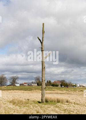 Der Dreigabelmast, Hoar Edge, Clee Hill Common, Shropshire. Ein historischer Wegpunkt und Treffpunkt von drei lokalen Gemeinden. Stockfoto