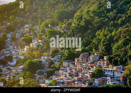 Slum zwischen der Vegetation der Hänge der Hügel im Copacabana-Viertel in Rio de Janeiro, Favela Chapeu Mangueira, Rio de Janeiro, Rio de Janeiro Stockfoto