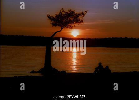 Berlin / Freizeit / Natur / 1987 Sonnenuntergang am Großen Wannsee // Rest / Nacht / Sonne / Freizeit / // Berlin-Stadt / Landschaft / Jahreszeiten / Sommer / Distrikte / Zehlendorf / Moods [automatisierte Übersetzung] Stockfoto