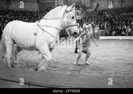 Stars of the Manege-The Golden Ten 1966 [automatisierte Übersetzung] Stockfoto
