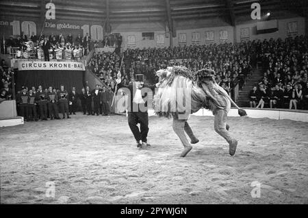 Stars of the Manege-The Golden Ten 1966 [automatisierte Übersetzung] Stockfoto