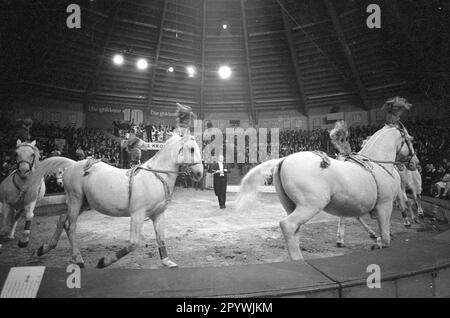 Stars of the Manege-The Golden Ten 1966 [automatisierte Übersetzung] Stockfoto