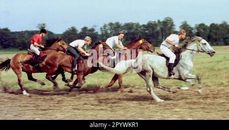 Brandenburg / Sachsen / Minderheiten / 1996 Stoppelreiten der Sorbs in Raddusch. Ein alter Brauch der Sorbs. Reitwettbewerbe finden nach der Ernte auf den Feldern statt. // Wends / Lusatia / Pferde / Tiere / Reiten / die östliche Eroberung Ostdeutschlands begann bereits von Karl dem Großen, erlitt aber viele Rückschläge. 1168 wurde das große slawische Heiligtum auf Rügen von den Dänen zerstört, und Albrecht der Bär eroberte die slawische Festung Brennabor, Brandenburg. Die Slawen wurden nach Osten zurückgeschoben. Ihre Nachkommen, die Wends und Sorbs, leben heute im Südosten Brandenburgs Stockfoto