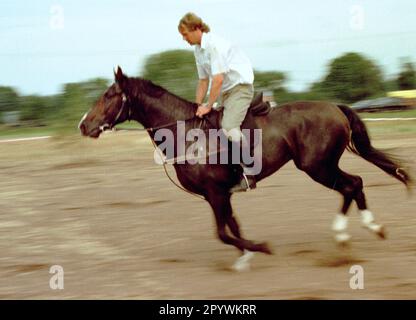 Brandenburg / Sachsen / Minderheiten / 1996 Stoppelreiten der Sorbs in Raddusch. Ein alter Brauch der Sorbs. Reitwettbewerbe finden nach der Ernte auf den Feldern statt. // Wends / Lusatia / Pferde / Tiere / Reiten / die östliche Eroberung Ostdeutschlands begann bereits von Karl dem Großen, erlitt aber viele Rückschläge. 1168 wurde das große slawische Heiligtum auf Rügen von den Dänen zerstört, und Albrecht der Bär eroberte die slawische Festung Brennabor, Brandenburg. Die Slawen wurden nach Osten zurückgeschoben. Ihre Nachkommen, die Wends und Sorbs, leben heute im Südosten Brandenburgs Stockfoto