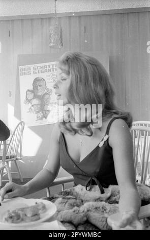 Senta Berger bei einer Vorführung ihres Films The Shadow of the Giant im Europa Filmpalast (kein Ort). [Maschinelle Übersetzung] Stockfoto