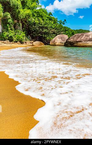 Meeresschaum, der sich über den Sand am Strand bewegt, umgeben von Regenwald in Ilha Grande (Big Island), Rio de Janeiro, Brasilien Stockfoto