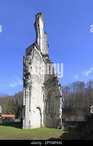 Kaiserliche Walkenried Zisterzienserabtei, Walkenried, Harz, Niedersachsen, Deutschland Stockfoto