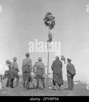 Der Heimattreffen der Menschen aus der Region Mecklenburg findet in Laage statt. Jungs klettern einen Mast hoch. Stockfoto