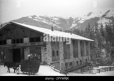 Ein mit Heu beladener Pferdewagen fährt an einer Farm in St. vorbei Johann im Pongau. Unbefriedigtes Bild, wahrscheinlich im Winter 1938/39. Stockfoto