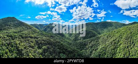 Aerial of the UNESCO site Atlantic Forest South-East Reservate, Alto Ribeira Touristic State Park, Sao Paulo State, Brasilien Stockfoto