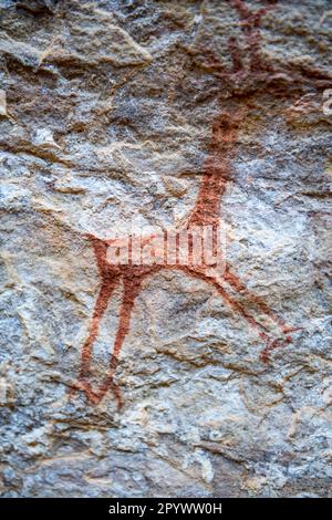 Felskunstmalerei in Pedra Furada, UNESCO-Weltkulturerbe Serra da Capivara National Park, Piaui, Brasilien Stockfoto