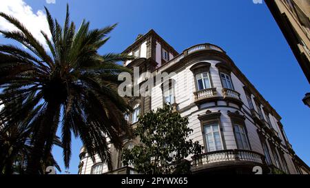 Historisches Gebäude, Palme, blauer Himmel, weiße Wolke, Altstadt, Vegueta, Las Palmas, Hauptstadt, Gran Canaria, Kanarische Inseln, Spanien Stockfoto