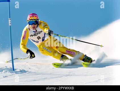 SKI ALPIN SEASON 95/96 World Championships 1996 Sierra Nevada Giant Slalom Men 13.02.1996 Steve LOCHER (SUI) FOTO: WEREK Press Picture Agency xxNOxMODELxRELEASExx [automatisierte Übersetzung]- ÖSTERREICH AUSSERHALB Stockfoto