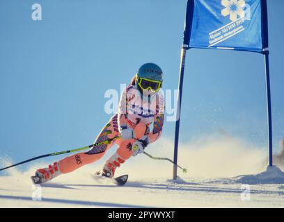 SKI ALPIN STAFFEL 90/91 Weltmeisterschaft 1991 Saalbach-Hinterglemm Super G Ladies 29.01.1991 Anita WACHTER (AUT) xxNOxMODELxRELEASExx [automatisierte Übersetzung]- ÖSTERREICH RAUS Stockfoto