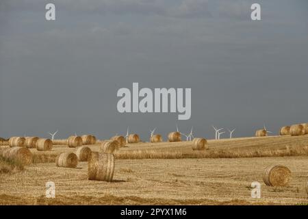Larnaca, Larnaca, Zypern. 5. Mai 2023. Windgeneratoren sind im Hintergrund hinter einem Feld mit verstreuten Heubällen in der Nähe des Larnaca International Airport zu sehen. (Kreditbild: © Kostas Pikoulas/ZUMA Press Wire) NUR REDAKTIONELLE VERWENDUNG! Nicht für den kommerziellen GEBRAUCH! Stockfoto