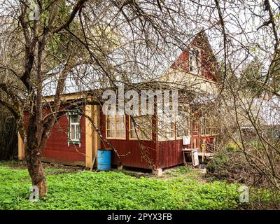 Altes Sommerhaus aus Holz im Dorf auf einem überwucherten Hof im Frühling Stockfoto