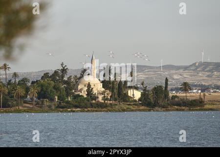 Larnaca, Zypern. 05. Mai 2023. Am 5. Mai 2023 fliegt eine Schar Flamingos über der Hala Sultan Moschee in der Nähe des Larnaca International Airport, Larnaca. (Foto: Kostas Pikoulas/SIPA USA). Kredit: SIPA USA/Alamy Live News Stockfoto