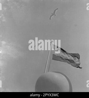 Die deutsche Reichsflagge (Kaiserflagge) auf der Nordseeinsel Helgoland. Mehrere Möwen fliegen in der Luft. Stockfoto