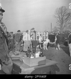 Blick auf einen Verkaufsstand mit alkoholischen Getränken auf einem Bauernmarkt in Zetel, Niedersachsen. Im Hintergrund: Marktbesucher und Vieh. Stockfoto