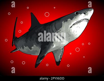 Haivektorvorlage Stock Vektor