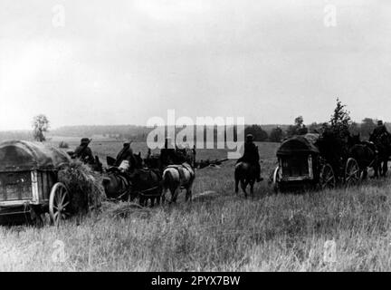 Während der Offensive in Moskau bei Chapilovka wurden die Wagen einer Infanterieeinheit auf der Desna gespannt. Foto: Lüthge. [Maschinelle Übersetzung] Stockfoto