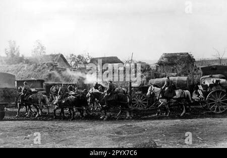 Deutsche Truppen auf dem Vormarsch im zentralen Abschnitt der Ostfront. Foto: Menzendorf. [Maschinelle Übersetzung] Stockfoto