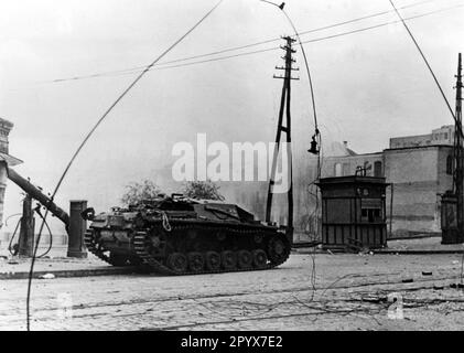 Deutsches Sturmgewehr während des Kampfes in Charkov. [Maschinelle Übersetzung] Stockfoto