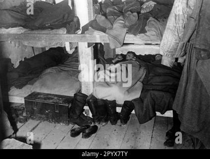 Soldaten einer deutschen Artilleriegruppe schlafen in ihrem Unterschlupf bei Peterhof bei Leningrad. Foto: Ebert. [Maschinelle Übersetzung] Stockfoto