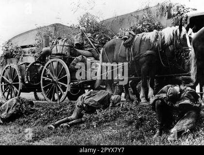 Deutsche Soldaten schliefen während einer Marschpause an der Ostfront im Sommer 1941. Foto: Casper [maschinelle Übersetzung] Stockfoto