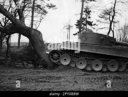 Demonstration eines Panzer VI in einem Manövrierbereich. PK-Foto: Schwahn. [Maschinelle Übersetzung] Stockfoto